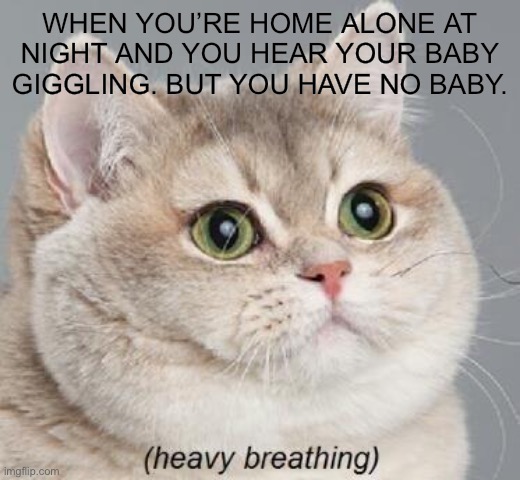 Heavy Breathing Cat Meme | WHEN YOU’RE HOME ALONE AT NIGHT AND YOU HEAR YOUR BABY GIGGLING. BUT YOU HAVE NO BABY. | image tagged in memes,heavy breathing cat | made w/ Imgflip meme maker