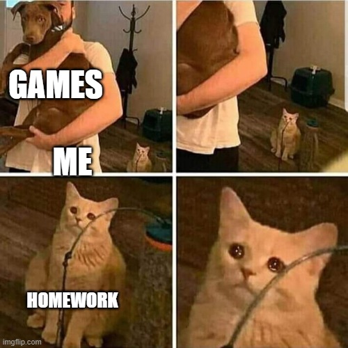 Sad Cat Holding Dog | GAMES ME HOMEWORK | image tagged in sad cat holding dog | made w/ Imgflip meme maker