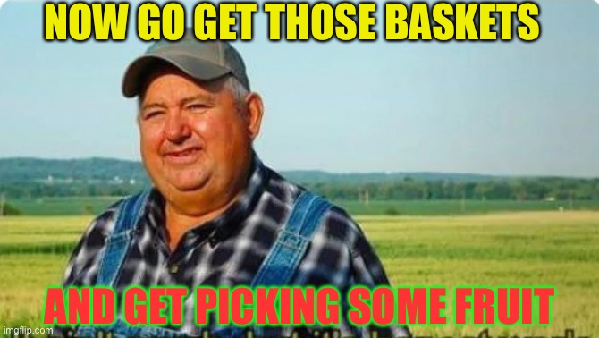 NOW GO GET THOSE BASKETS AND GET PICKING SOME FRUIT | made w/ Imgflip meme maker