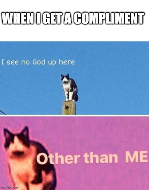 WHEN I GET A COMPLIMENT | image tagged in hail pole cat | made w/ Imgflip meme maker