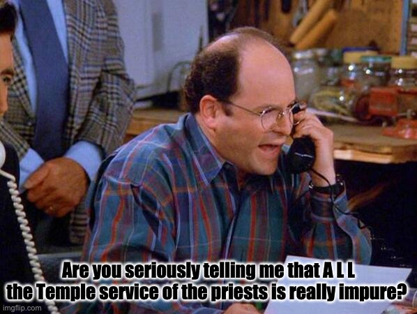 daf |  Are you seriously telling me that A L L the Temple service of the priests is really impure? | image tagged in george costanza | made w/ Imgflip meme maker