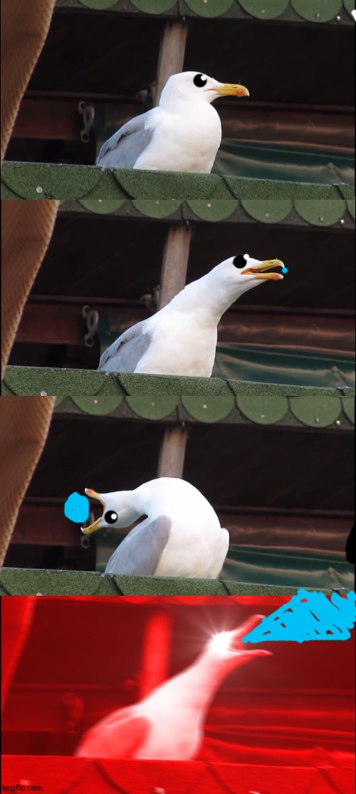 Dragon bird b | image tagged in memes,inhaling seagull | made w/ Imgflip meme maker