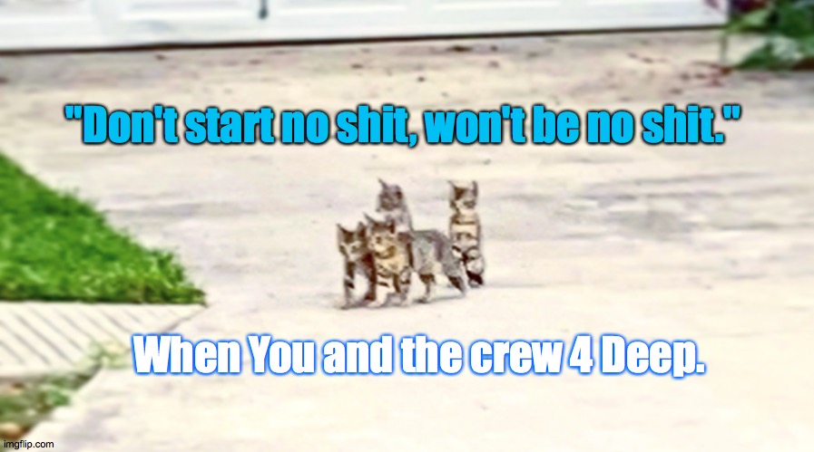 Kittens day out | "Don't start no shit, won't be no shit."; When You and the crew 4 Deep. | image tagged in day,prowl,food,dont,start,shit | made w/ Imgflip meme maker