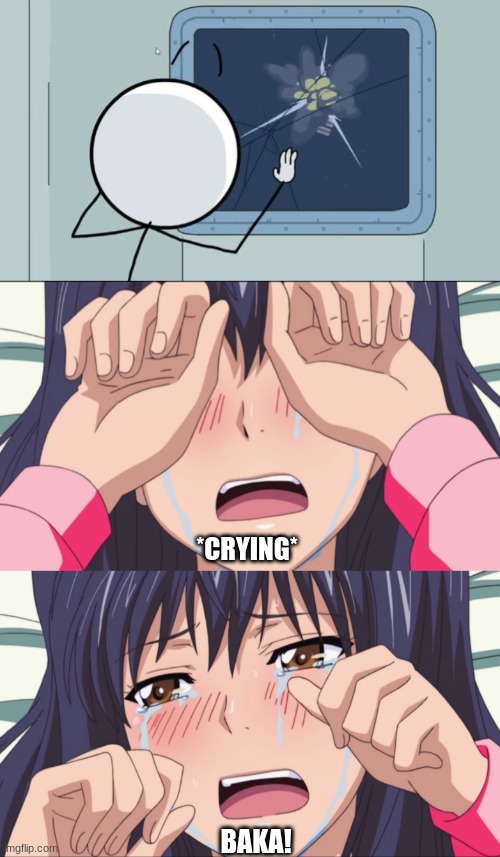 Hentai and Valiant Hero meme | *CRYING*; BAKA! | image tagged in hentai,anime | made w/ Imgflip meme maker
