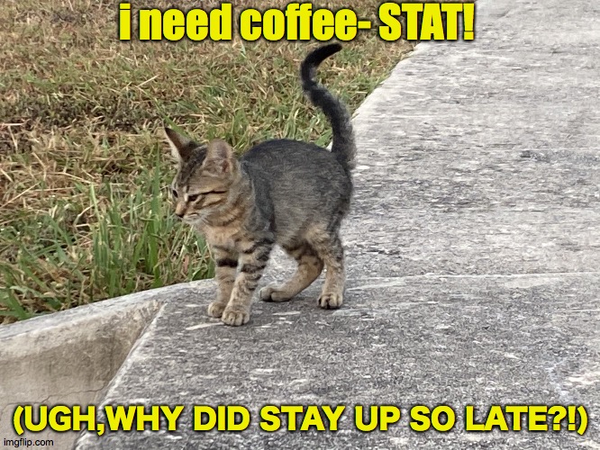 Coffee Stat | i need coffee- STAT! (UGH,WHY DID STAY UP SO LATE?!) | image tagged in buddy rich,early,morning,kitty,adventure,mew | made w/ Imgflip meme maker