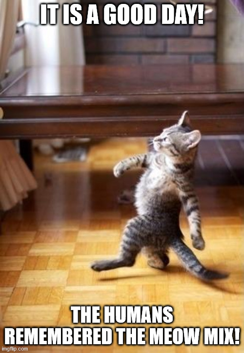 Cool Cat Stroll | IT IS A GOOD DAY! THE HUMANS REMEMBERED THE MEOW MIX! | image tagged in memes,cool cat stroll | made w/ Imgflip meme maker