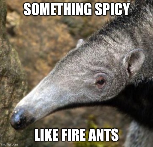 How It Feels When Anteater | SOMETHING SPICY LIKE FIRE ANTS | image tagged in how it feels when anteater | made w/ Imgflip meme maker