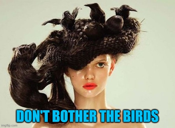 DON'T BOTHER THE BIRDS | made w/ Imgflip meme maker