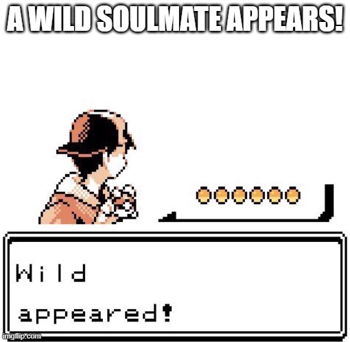 Blank Wild Pokemon Appears | A WILD SOULMATE APPEARS! | image tagged in blank wild pokemon appears | made w/ Imgflip meme maker