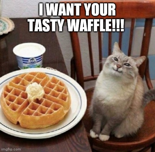 Cat likes their waffle | I WANT YOUR TASTY WAFFLE!!! | image tagged in cat likes their waffle | made w/ Imgflip meme maker