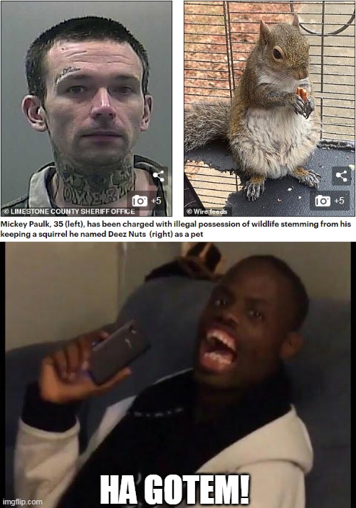 a squirrel named "Deez Nuts"? | HA GOTEM! | image tagged in deez nuts,squirrel | made w/ Imgflip meme maker