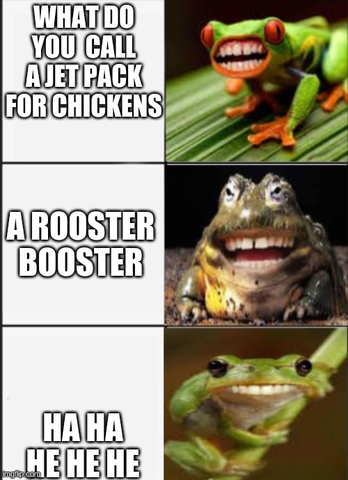 not funny | WHAT DO YOU  CALL A JET PACK FOR CHICKENS; A ROOSTER BOOSTER; HA HA HE HE HE | image tagged in memes | made w/ Imgflip meme maker