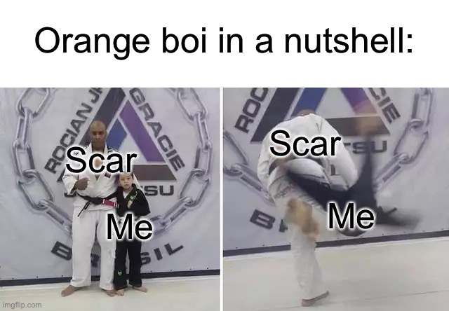 Orange boi in a nutshell:; Scar; Scar; Me; Me | image tagged in blank white template,always give it your all | made w/ Imgflip meme maker