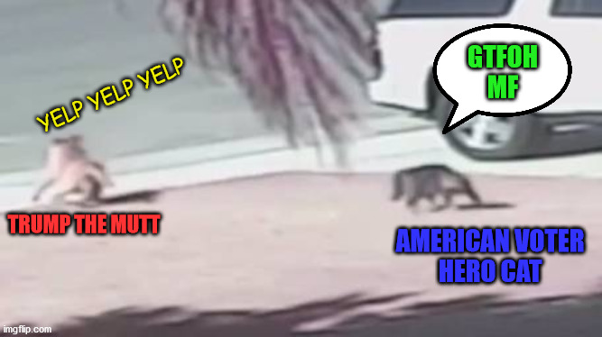 TRUMP THE MUTT AMERICAN VOTER
HERO CAT YELP YELP YELP GTFOH
MF | made w/ Imgflip meme maker