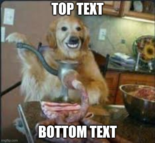MEAT DOG | TOP TEXT; BOTTOM TEXT | image tagged in meat dog | made w/ Imgflip meme maker