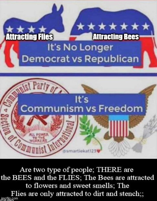 Democrats ATTRACTING Flies | Attracting Bees; Attracting Flies | image tagged in flies,bees,democrats,communists,treason,election | made w/ Imgflip meme maker