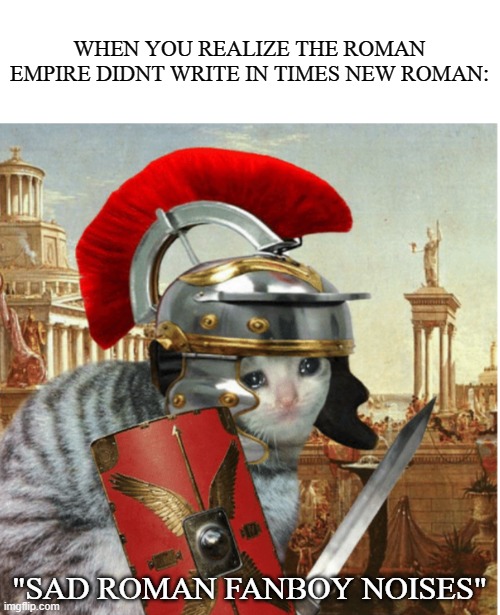 i like dis font | WHEN YOU REALIZE THE ROMAN EMPIRE DIDNT WRITE IN TIMES NEW ROMAN:; "SAD ROMAN FANBOY NOISES" | image tagged in sad cat,fonts,history | made w/ Imgflip meme maker