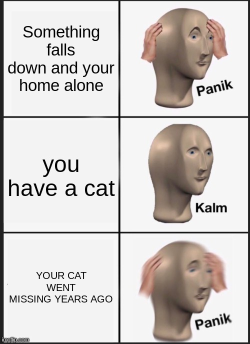 Panik Kalm Panik Meme | Something falls down and your home alone you have a cat YOUR CAT WENT MISSING YEARS AGO | image tagged in memes,panik kalm panik | made w/ Imgflip meme maker