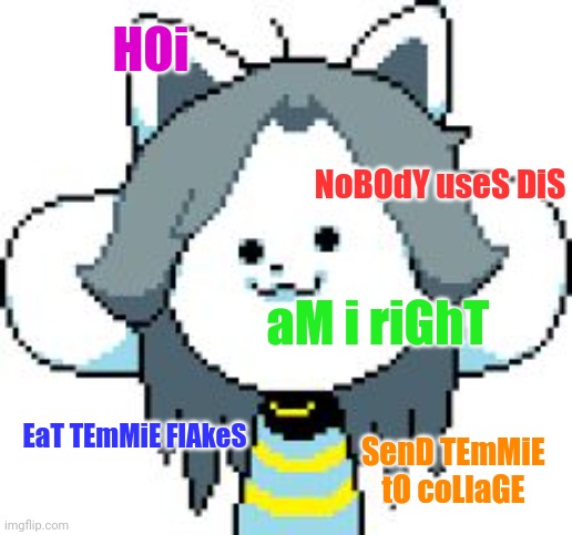 HOi NoBOdY useS DiS aM i riGhT EaT TEmMiE FlAkeS SenD TEmMiE tO coLlaGE | image tagged in temmie | made w/ Imgflip meme maker