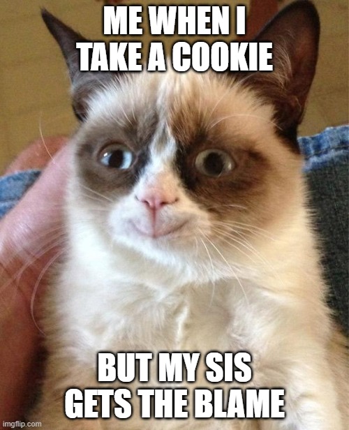 a day in my life | ME WHEN I TAKE A COOKIE; BUT MY SIS GETS THE BLAME | image tagged in memes,grumpy cat happy,grumpy cat | made w/ Imgflip meme maker