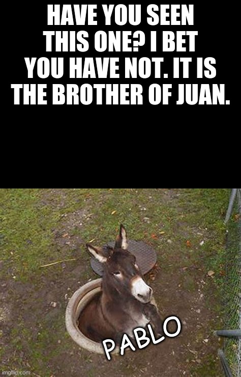Pablo is here | HAVE YOU SEEN THIS ONE? I BET YOU HAVE NOT. IT IS THE BROTHER OF JUAN. PABLO | image tagged in memes,juan,funny,pandaboyplaysyt | made w/ Imgflip meme maker