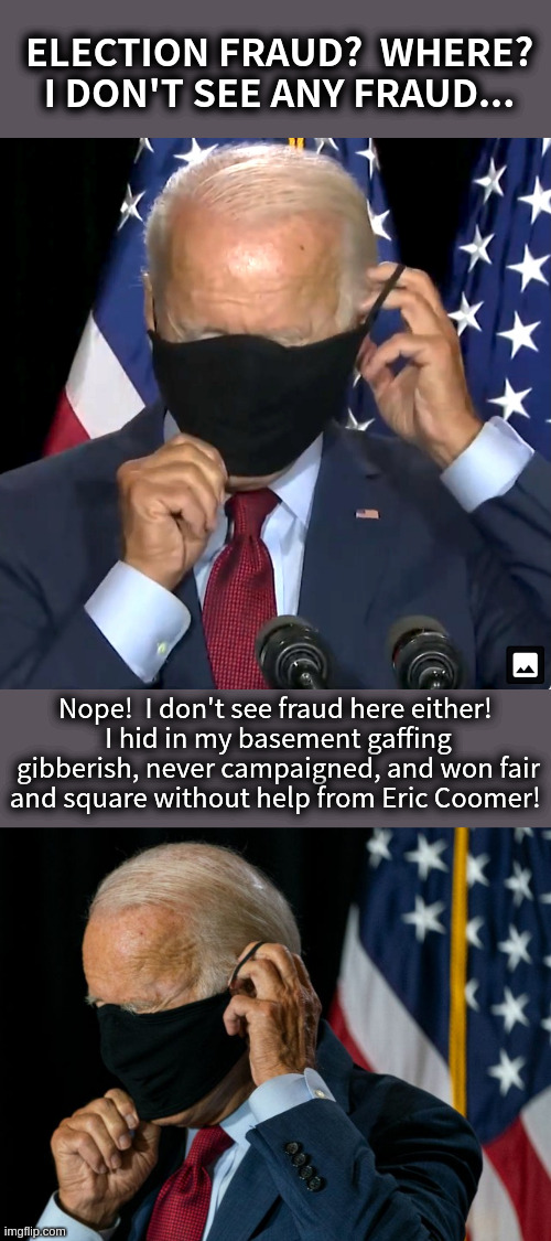 ELECTION FRAUD?  --  'Doh!  Where? | ELECTION FRAUD?  WHERE? I DON'T SEE ANY FRAUD... Nope!  I don't see fraud here either! 
I hid in my basement gaffing gibberish, never campaigned, and won fair and square without help from Eric Coomer! | image tagged in biden,fraud,election fraud,lies lies lies | made w/ Imgflip meme maker