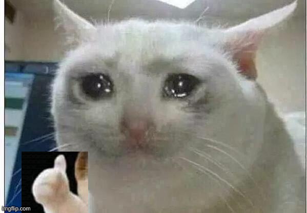 crying cat | image tagged in crying cat | made w/ Imgflip meme maker