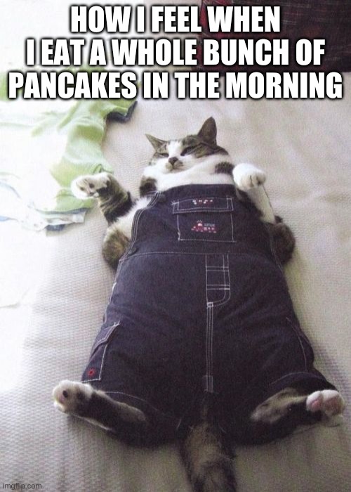 Fat Cat | HOW I FEEL WHEN I EAT A WHOLE BUNCH OF PANCAKES IN THE MORNING | image tagged in memes,fat cat | made w/ Imgflip meme maker