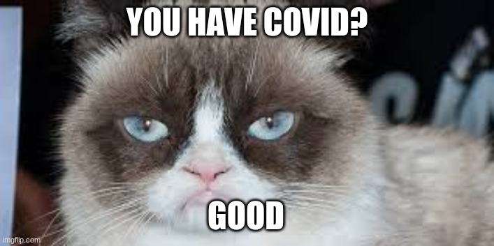 grumpy cat | YOU HAVE COVID? GOOD | image tagged in grumpy cat | made w/ Imgflip meme maker