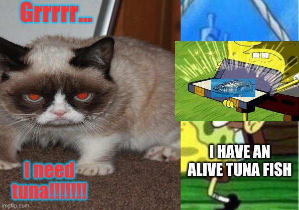 me like tuna | Grrrrr... I HAVE AN ALIVE TUNA FISH; I need tuna!!!!!!! | image tagged in well yes but actually no | made w/ Imgflip meme maker