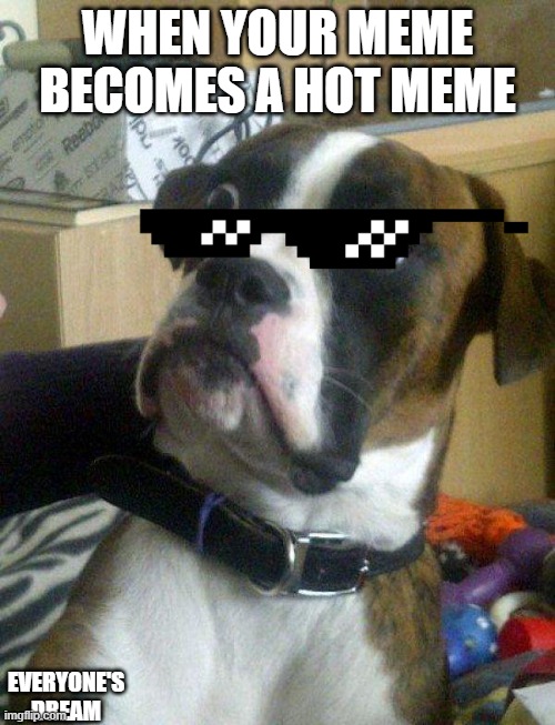 Blankie the Shocked Dog | WHEN YOUR MEME BECOMES A HOT MEME; EVERYONE'S DREAM | image tagged in blankie the shocked dog | made w/ Imgflip meme maker
