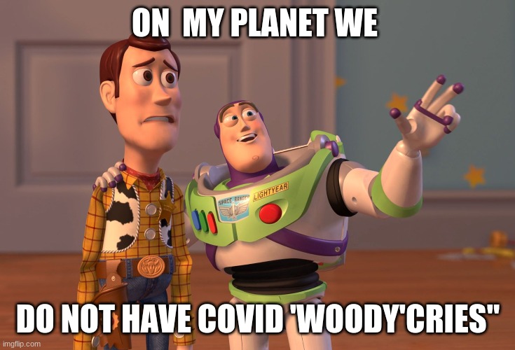 X, X Everywhere | ON  MY PLANET WE; DO NOT HAVE COVID 'WOODY'CRIES" | image tagged in memes,x x everywhere | made w/ Imgflip meme maker