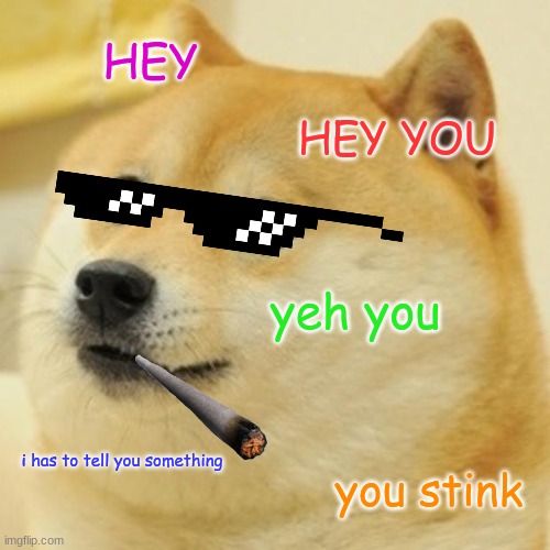 Doge | HEY; HEY YOU; yeh you; i has to tell you something; you stink | image tagged in memes,doge | made w/ Imgflip meme maker