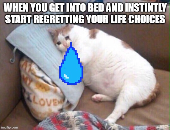 cat sad | WHEN YOU GET INTO BED AND INSTINTLY START REGRETTING YOUR LIFE CHOICES | image tagged in cat sad | made w/ Imgflip meme maker