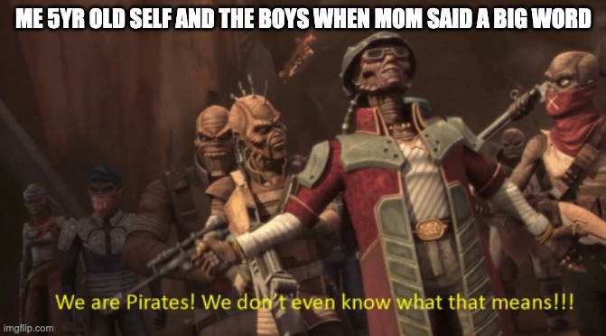 We are pirates! We don't even know what that means! | ME 5YR OLD SELF AND THE BOYS WHEN MOM SAID A BIG WORD | image tagged in we are pirates we don't even know what that means | made w/ Imgflip meme maker