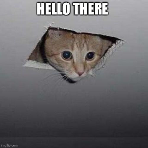 Ceiling Cat | HELLO THERE | image tagged in memes,ceiling cat | made w/ Imgflip meme maker
