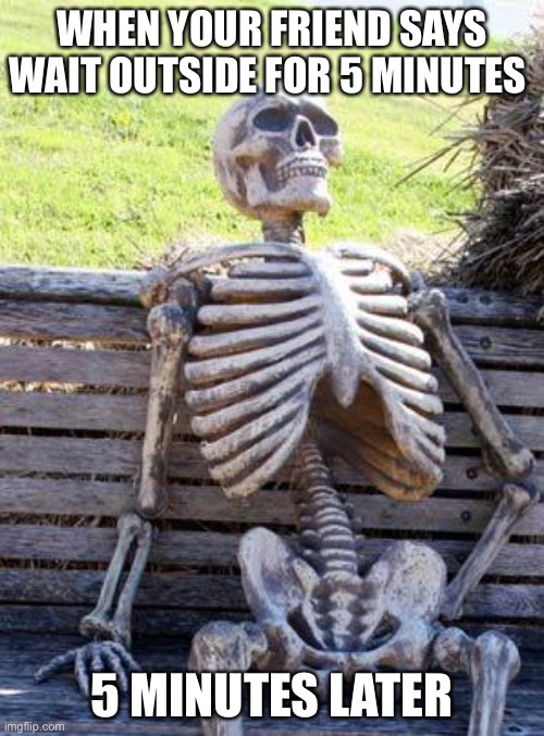 Waiting Skeleton | WHEN YOUR FRIEND SAYS WAIT OUTSIDE FOR 5 MINUTES; 5 MINUTES LATER | image tagged in memes,waiting skeleton | made w/ Imgflip meme maker