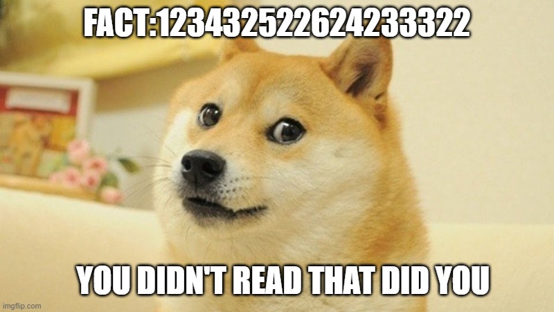 meme | FACT:123432522624233322; YOU DIDN'T READ THAT DID YOU | image tagged in doge | made w/ Imgflip meme maker