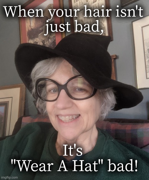 Bad Hair | When your hair isn't 
just bad, It's 
"Wear A Hat" bad! | image tagged in bad hair day,wear a hat,hat | made w/ Imgflip meme maker