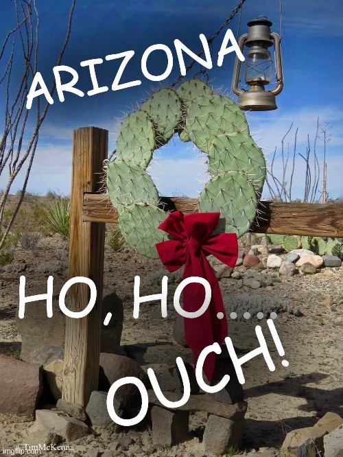 Arizona Holidays | ARIZONA; HO, HO..... OUCH! | image tagged in arizona,cactus wreath,ho ho ouch,ouch | made w/ Imgflip meme maker