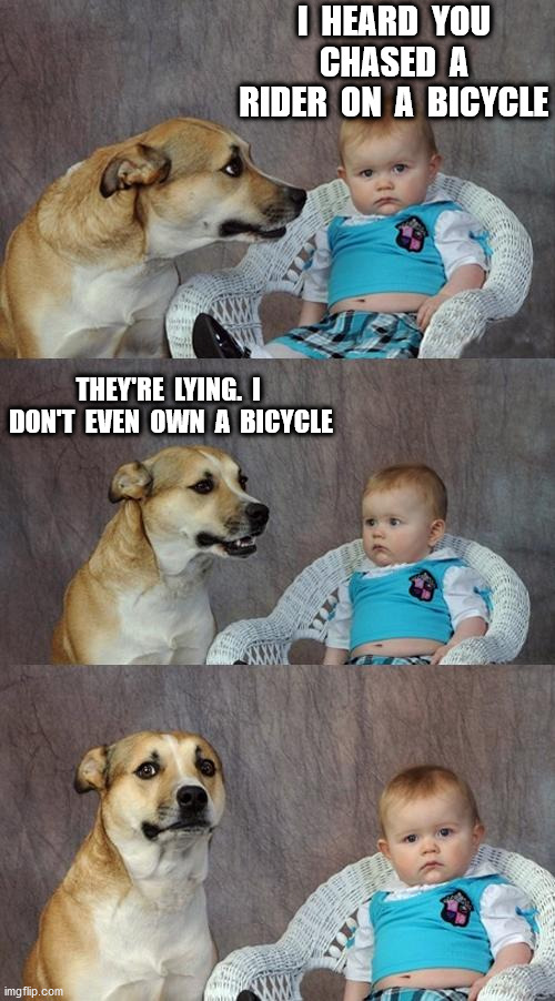Dad Joke Dog | I  HEARD  YOU  CHASED  A  RIDER  ON  A  BICYCLE; THEY'RE  LYING.  I  DON'T  EVEN  OWN  A  BICYCLE | image tagged in memes,dad joke dog | made w/ Imgflip meme maker