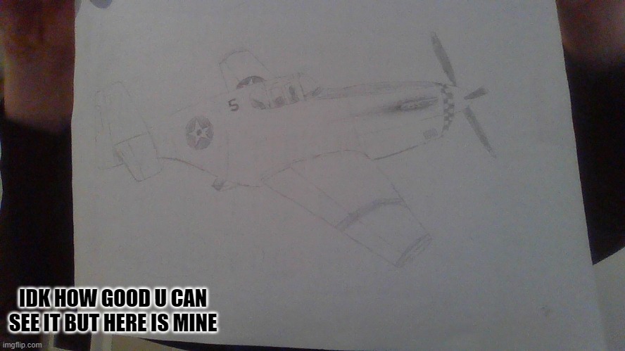 p-51 contest | IDK HOW GOOD U CAN SEE IT BUT HERE IS MINE | image tagged in plane | made w/ Imgflip meme maker