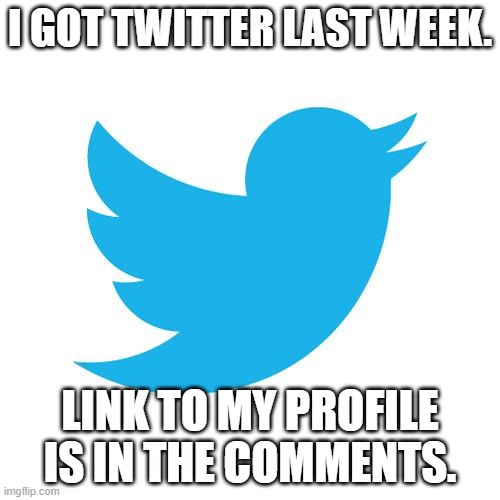 Follow Me on Twitter! |  I GOT TWITTER LAST WEEK. LINK TO MY PROFILE IS IN THE COMMENTS. | image tagged in twitter birds says,memes,profile | made w/ Imgflip meme maker
