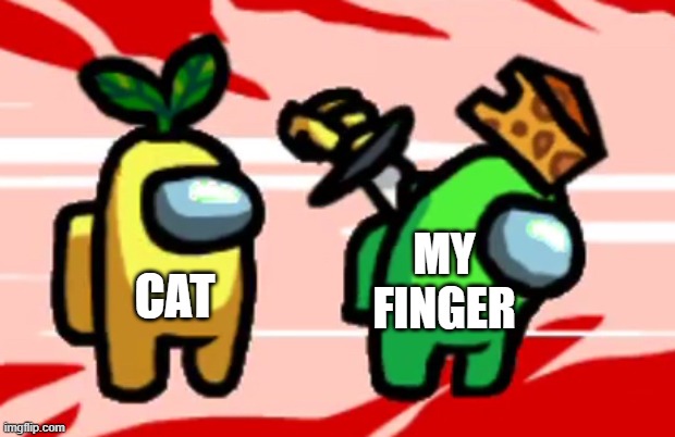 ouch shouldn't have wiggled it | MY FINGER; CAT | image tagged in among us stab | made w/ Imgflip meme maker