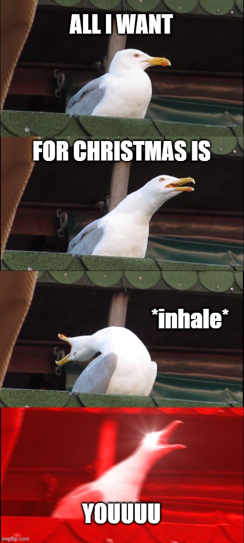 Mariah Carey screech | ALL I WANT; FOR CHRISTMAS IS; *inhale*; YOUUUU | image tagged in memes,inhaling seagull | made w/ Imgflip meme maker