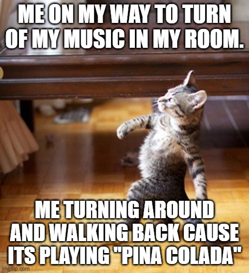 Cat Walking Like A Boss |  ME ON MY WAY TO TURN OF MY MUSIC IN MY ROOM. ME TURNING AROUND AND WALKING BACK CAUSE ITS PLAYING "PINA COLADA" | image tagged in cat walking like a boss | made w/ Imgflip meme maker