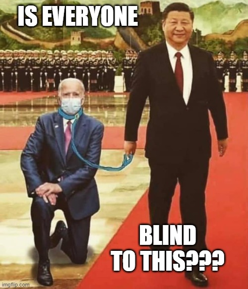 China Biden | IS EVERYONE; BLIND TO THIS??? | image tagged in china biden | made w/ Imgflip meme maker