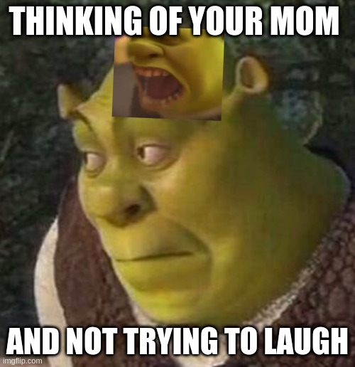 yelling mind | THINKING OF YOUR MOM; AND NOT TRYING TO LAUGH | image tagged in shrek | made w/ Imgflip meme maker