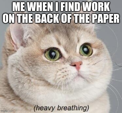 Heavy Breathing Cat | ME WHEN I FIND WORK ON THE BACK OF THE PAPER | image tagged in memes,heavy breathing cat | made w/ Imgflip meme maker