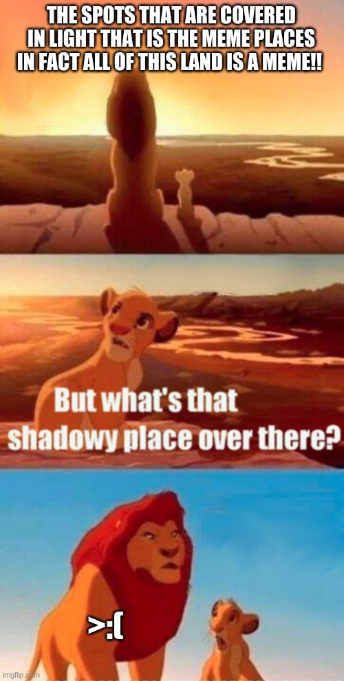 Simba Shadowy Place | THE SPOTS THAT ARE COVERED IN LIGHT THAT IS THE MEME PLACES IN FACT ALL OF THIS LAND IS A MEME!! >:( | image tagged in memes,simba shadowy place | made w/ Imgflip meme maker